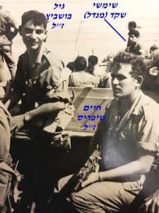 שיפריס ז לוגיל בושביץ ז ל ברקע שמשי שקד 1