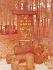 -נוי-מושב-שתולה