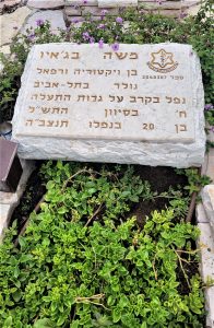 משה בגאיו, סיירת שקד