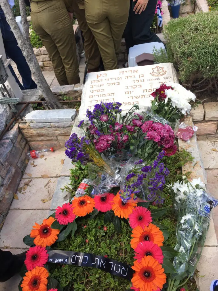 שקד אריה כץ מישמיש