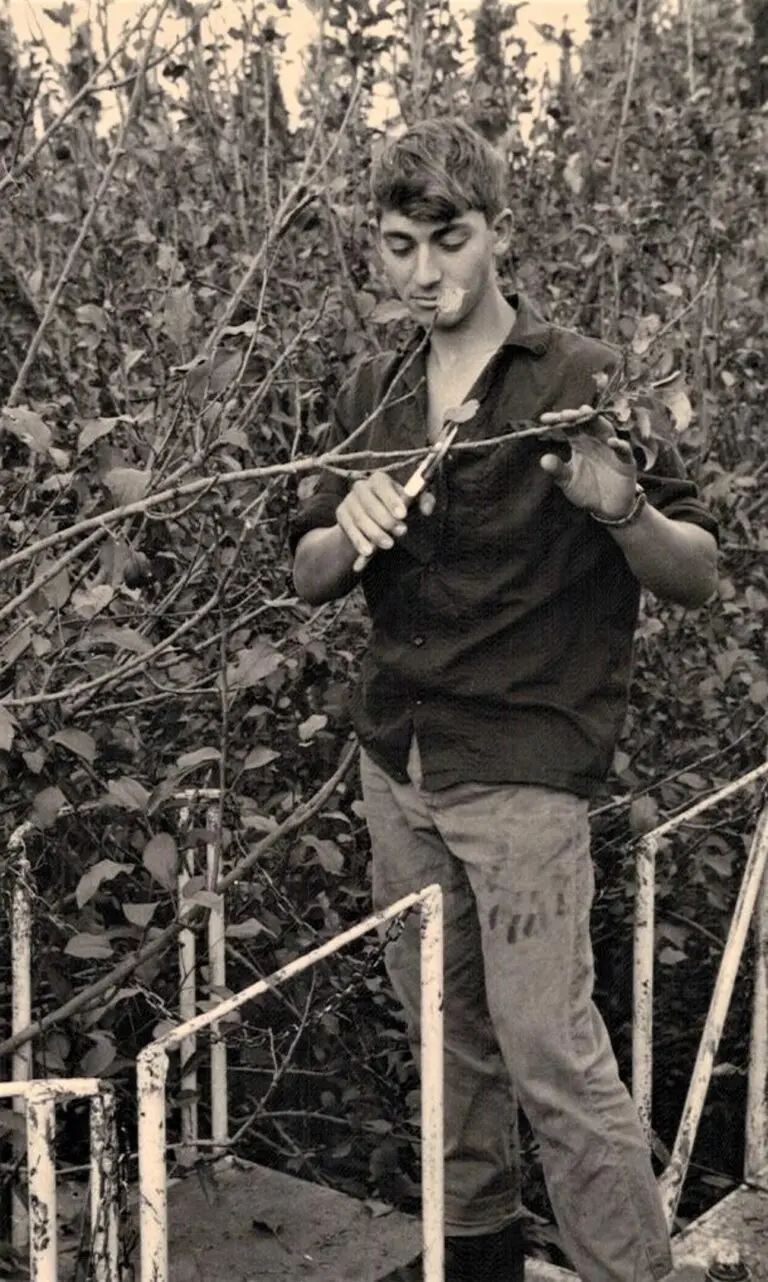 26