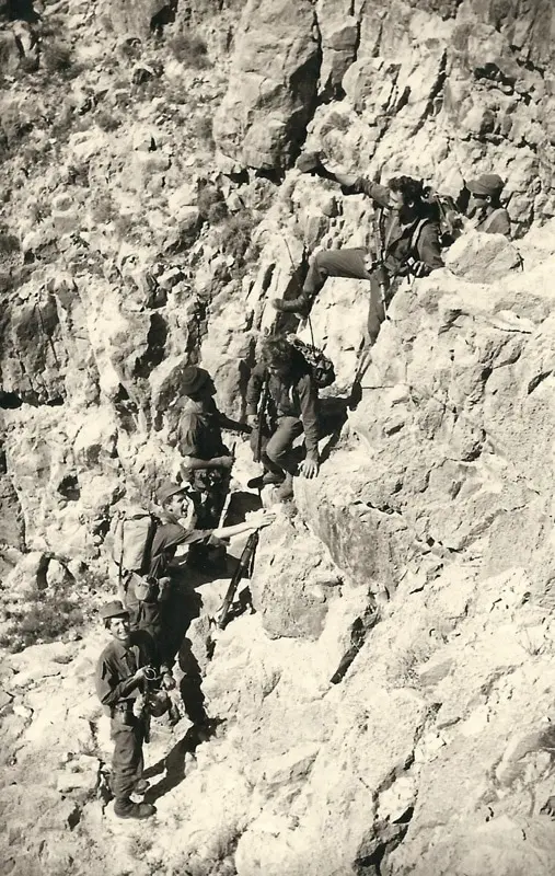 ברקני מרץ 69 11