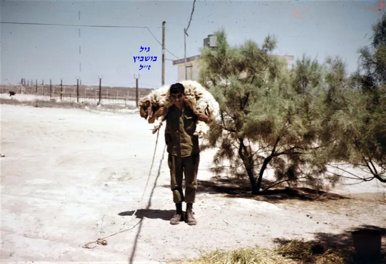 בושביץ עם הכבשה על הכתפיים במשמר הנגב