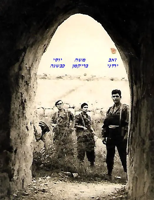 שקד אוגוסט 1965 ירדני בריקמן כבשנה