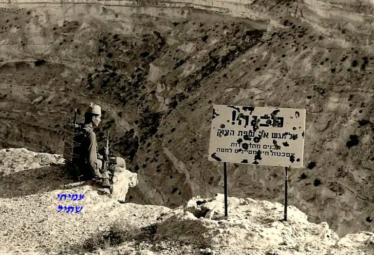 שתיל יושב על שפת המצוק