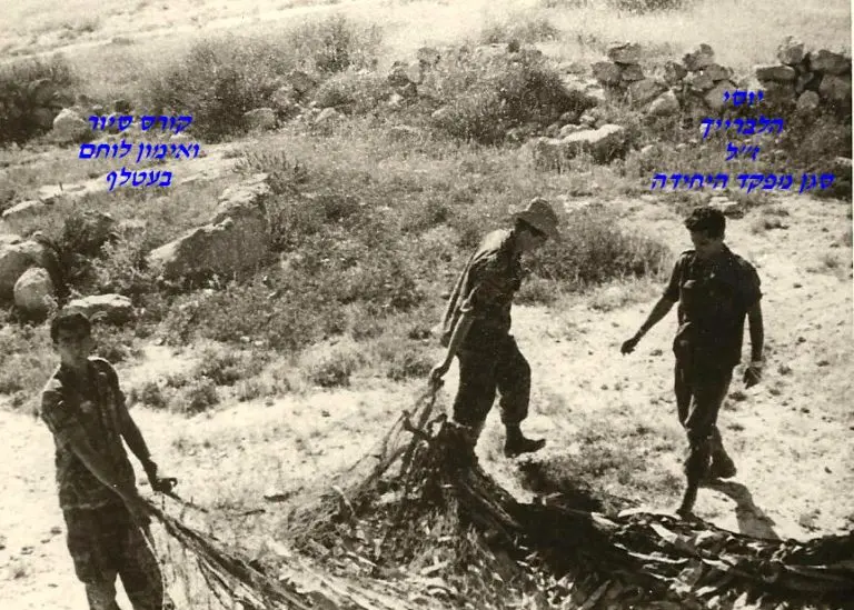 הלברייך עטלף