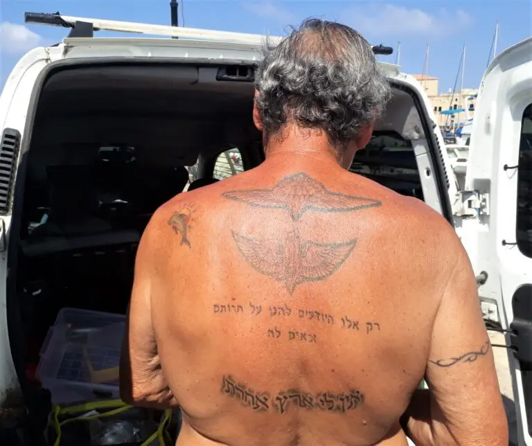 של שמעון אמיר