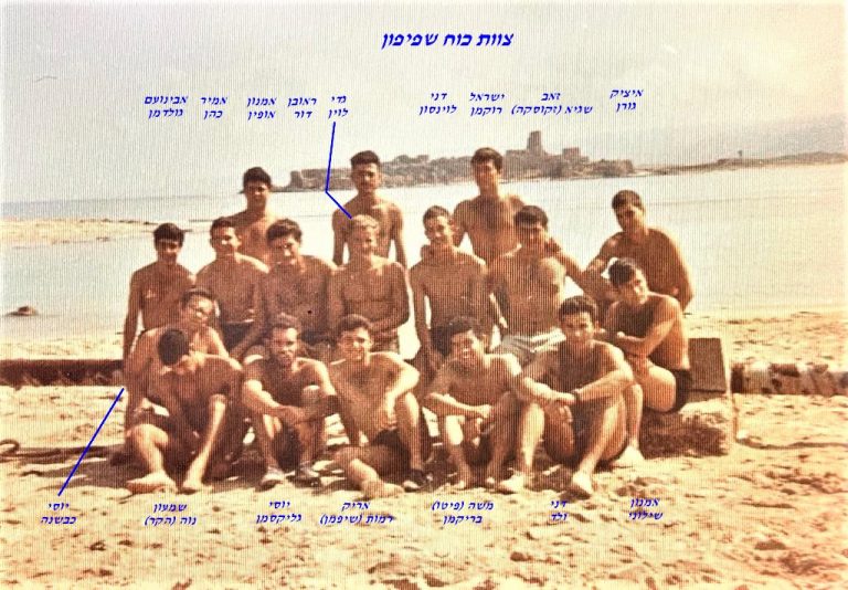 -שפיפון-מארכיון-דני-ולד