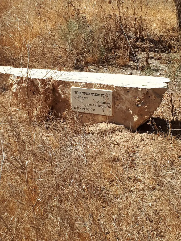 סיירת שקד בארץ אהבתי השקד פורח מילים לאה גולדברג צילם ניר כהן