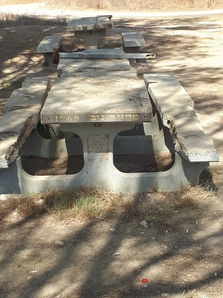 סיירת שקד מחזור נובמבר 1968 צילם ניר כהן