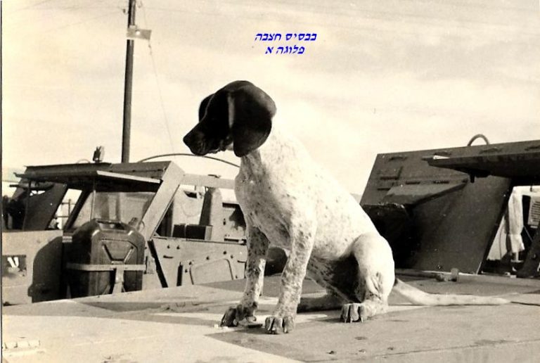 סיירת שקד, בסיס חצבה, פלוגה א