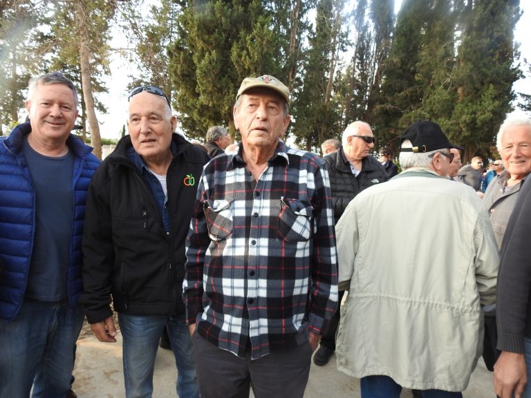 -וילן-13